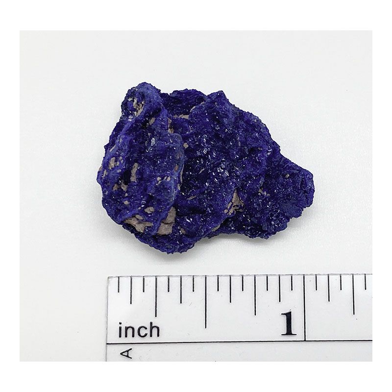 View image 2