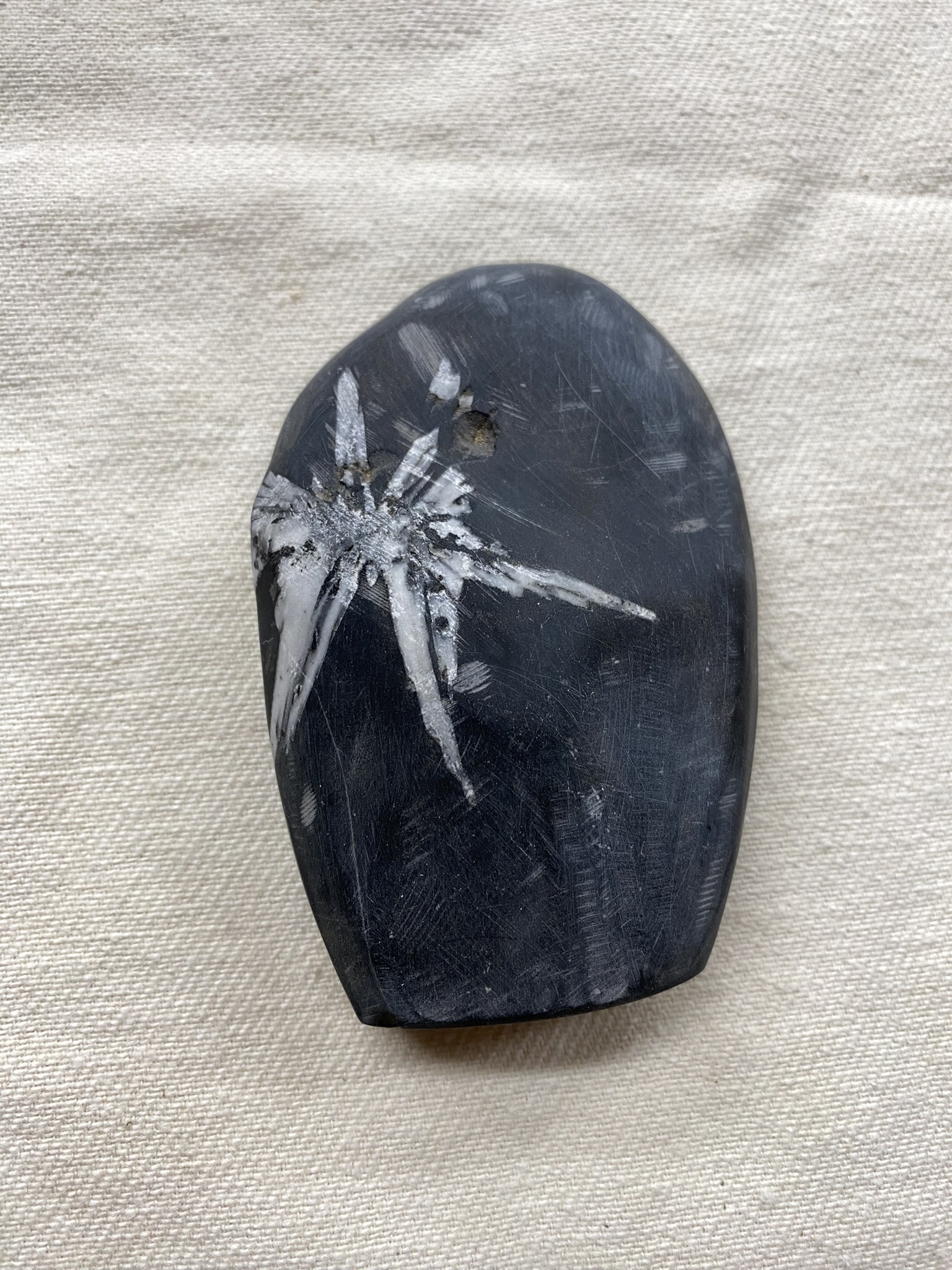 Chrysanthemum Stone