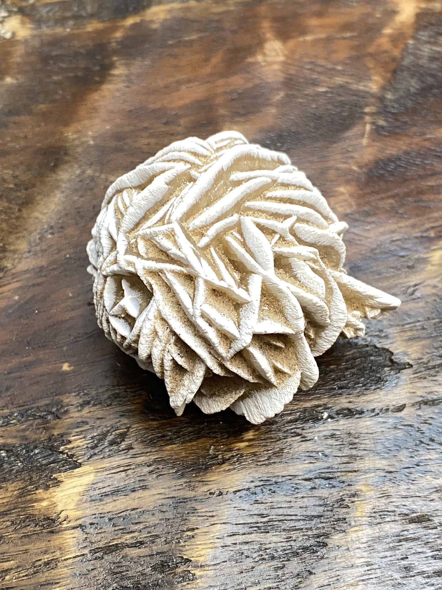 Desert Rose