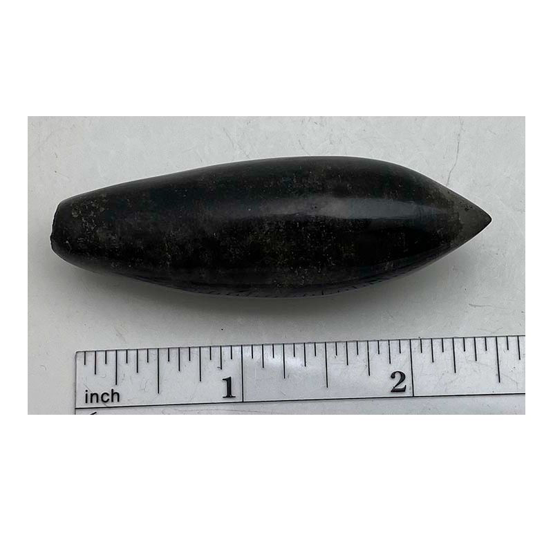 Polished Whale Tooth