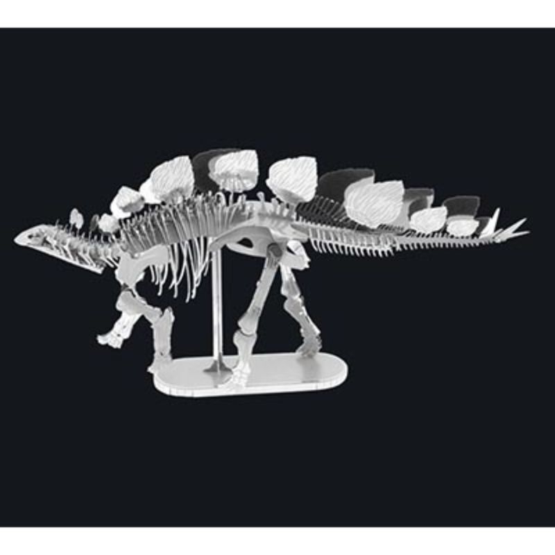 Stegosaurus Skeleton