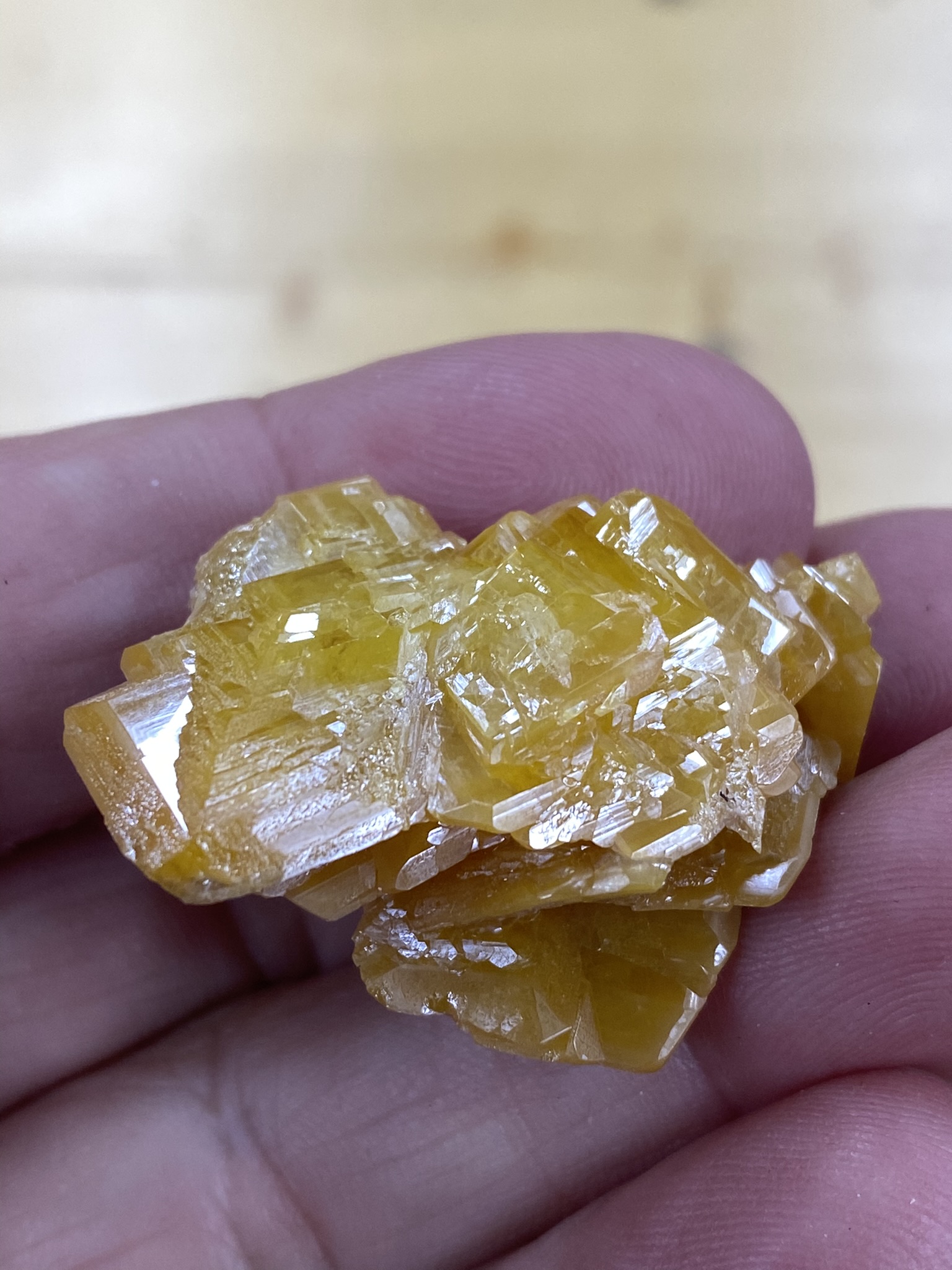 Wulfenite